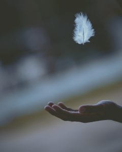 A small white feather floats above an open hand