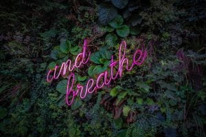 "and breathe" written in purple script against a green leafy background