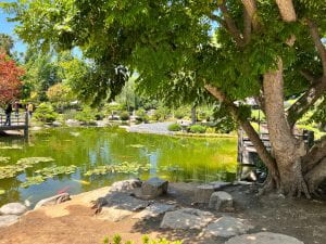 Photograph of a Japanese garden