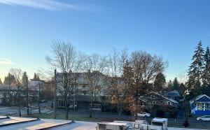 View of buildings and bare trees against a blue sky